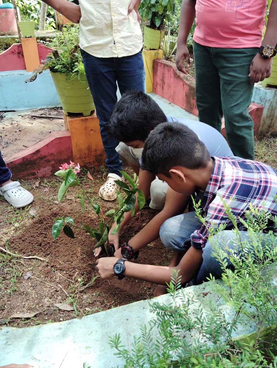 Environment day celebration